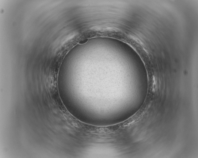 X0000088580966200706011109