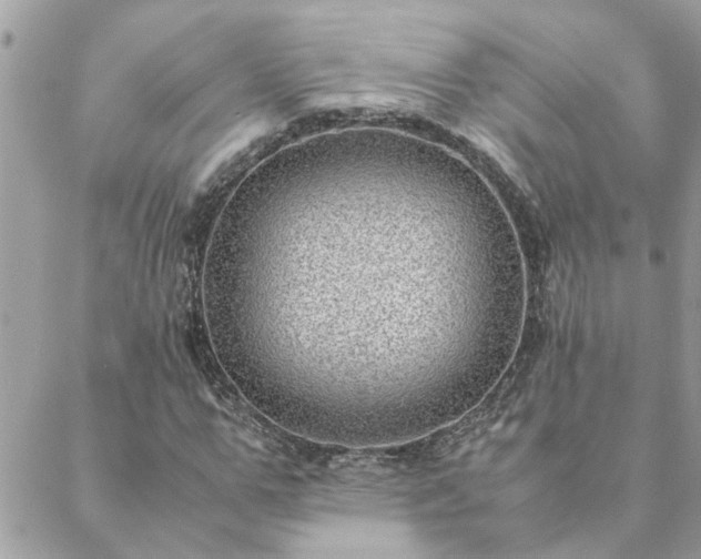 X0000088580967200706011108