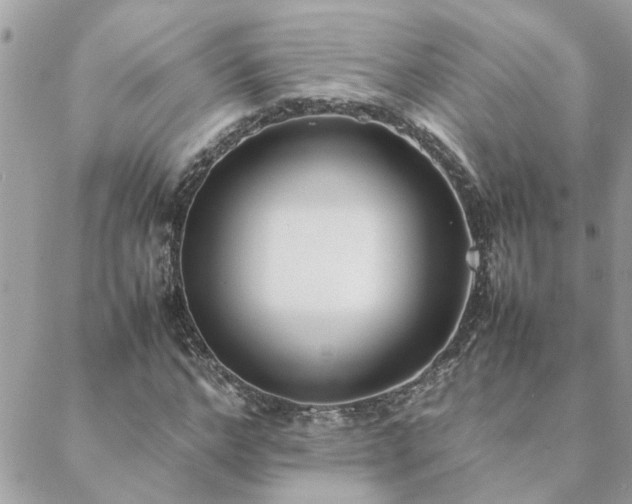 X0000088580968200706011108