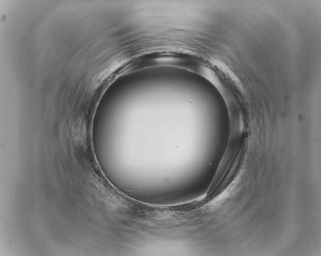 X0000088580969200706011108