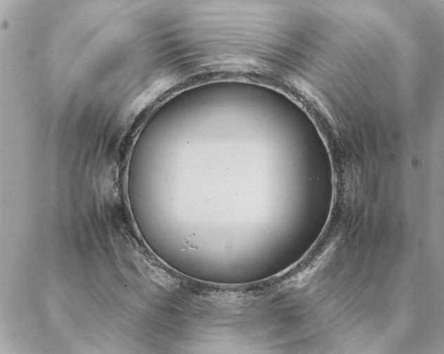 X0000088580970200706011108