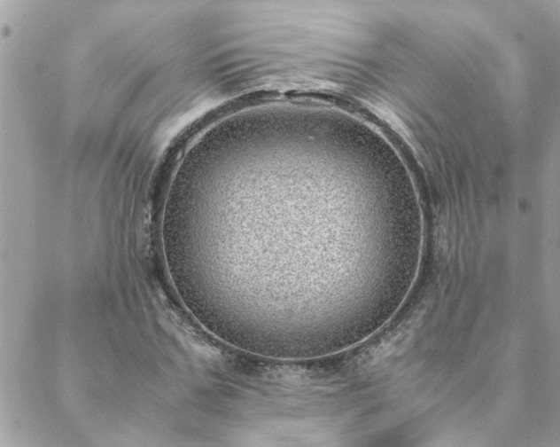 X0000088580971200706011108