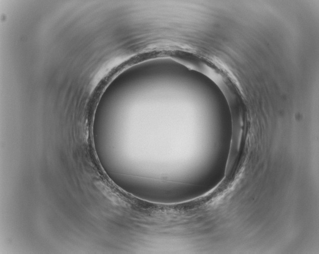 X0000088580973200706011108