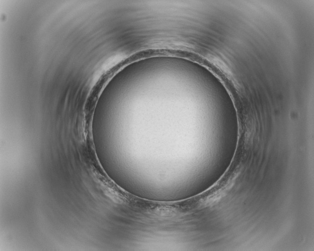 X0000088580974200706011108