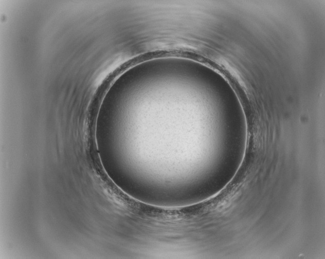 X0000088580975200706011108