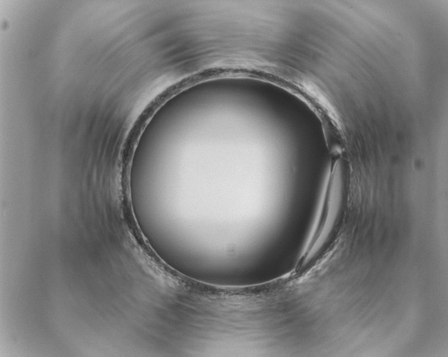 X0000088580976200706011108