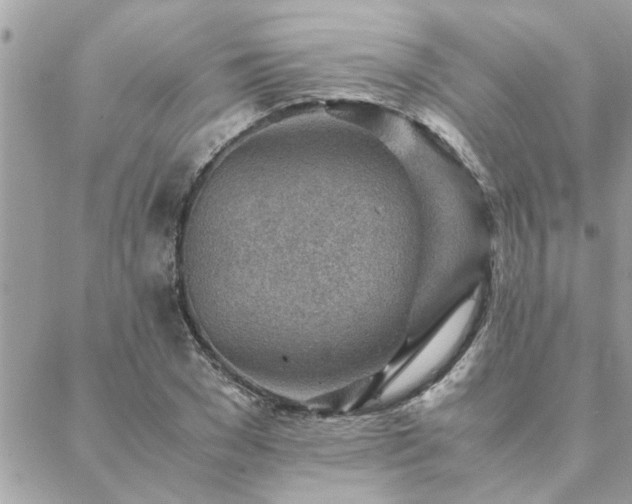 X0000088580977200706011108