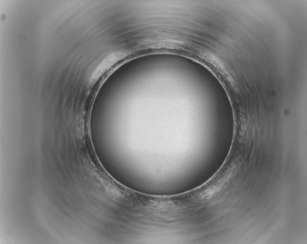 X0000088580978200706011108