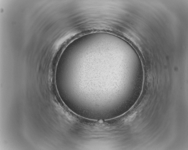 X0000088580979200706011108