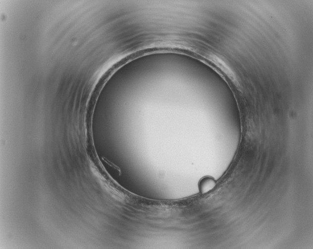 X0000088580980200706011108