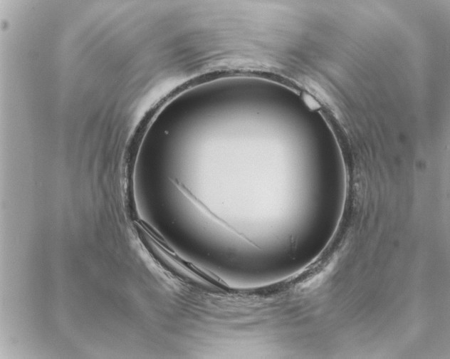 X0000088580981200706011108