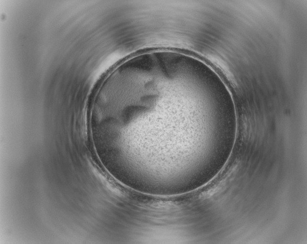 X0000088580982200706011108