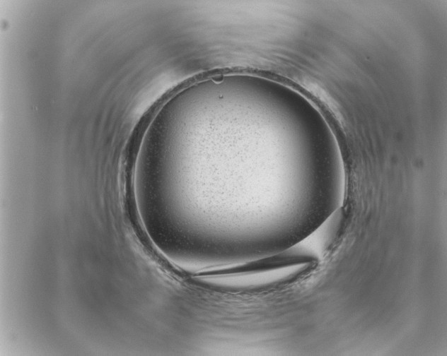 X0000088580983200706011108