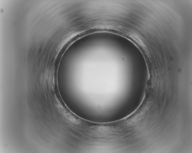 X0000088580984200706011108