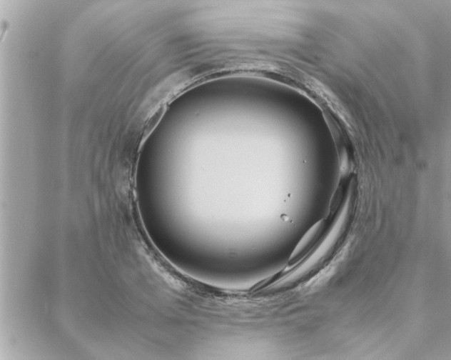 X0000088580985200706011108