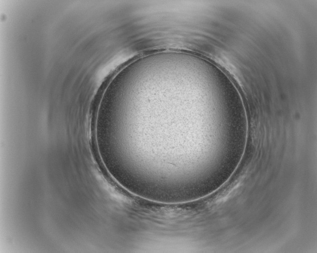 X0000088580987200706011108