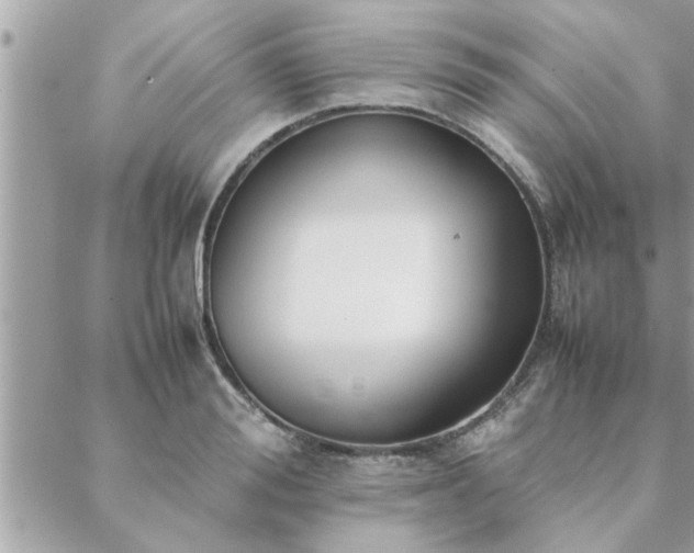 X0000088580988200706011108