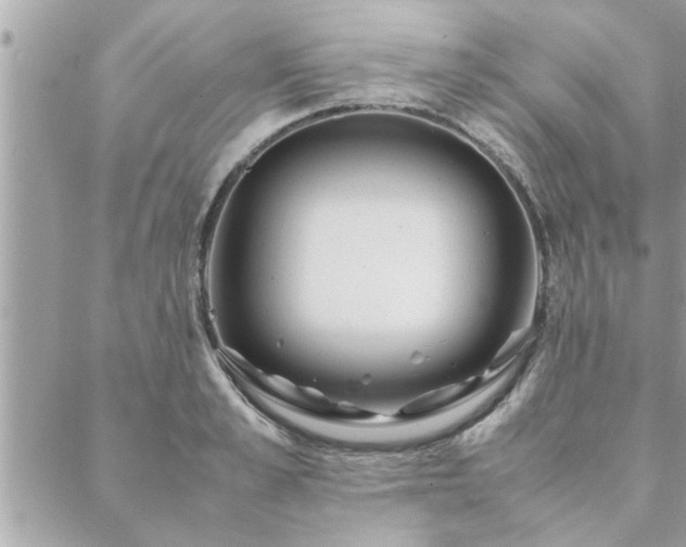 X0000088580989200706011108