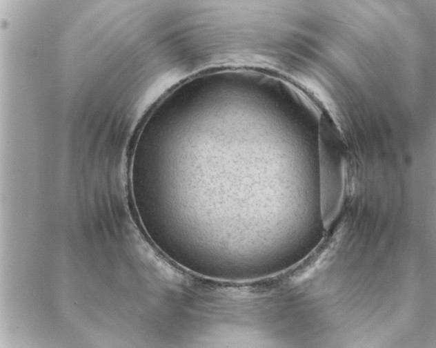 X0000088580990200706011108