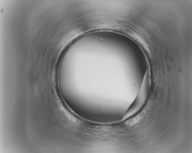 X0000088580991200706011108