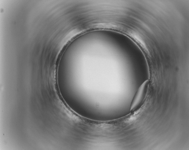 X0000088580992200706011108