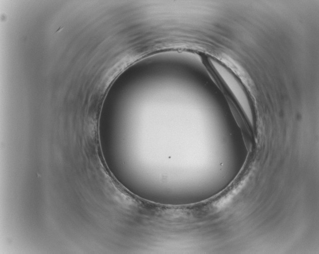 X0000088580993200706011108