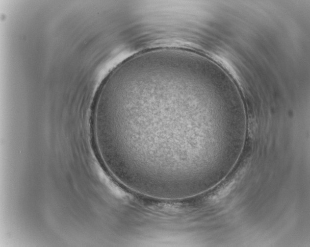 X0000088580995200706011108