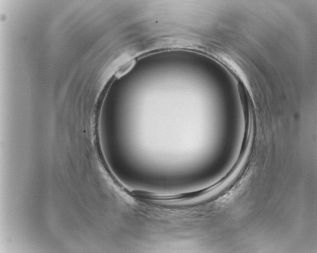 X0000088580997200706011108