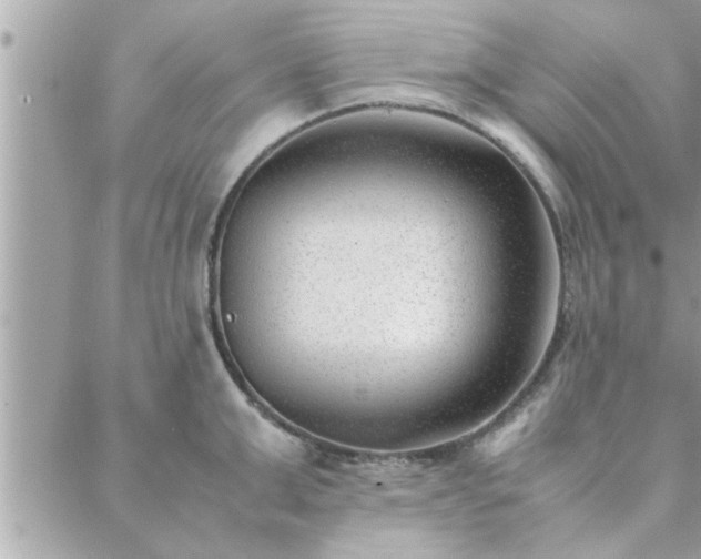 X0000088580999200706011108