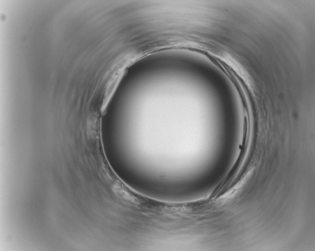 X0000088581001200706011108