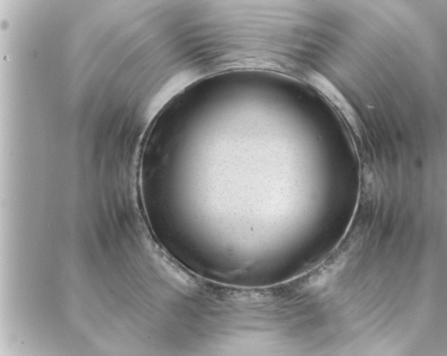 X0000088581002200706011108