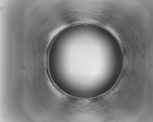 X0000088581003200706011108