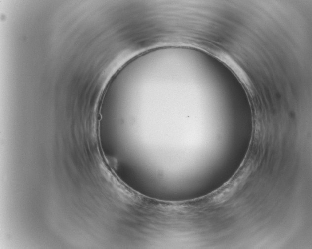 X0000088581004200706011108