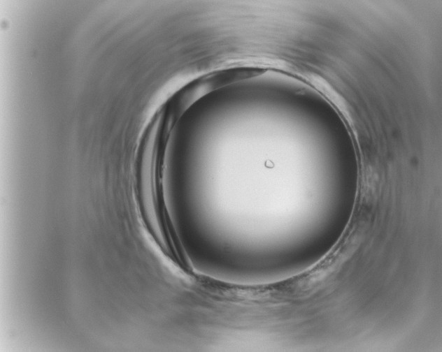 X0000088581005200706011108