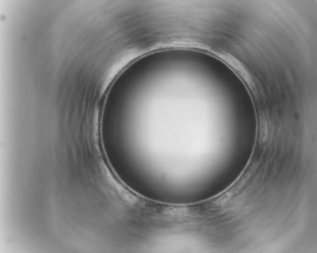 X0000088581006200706011108