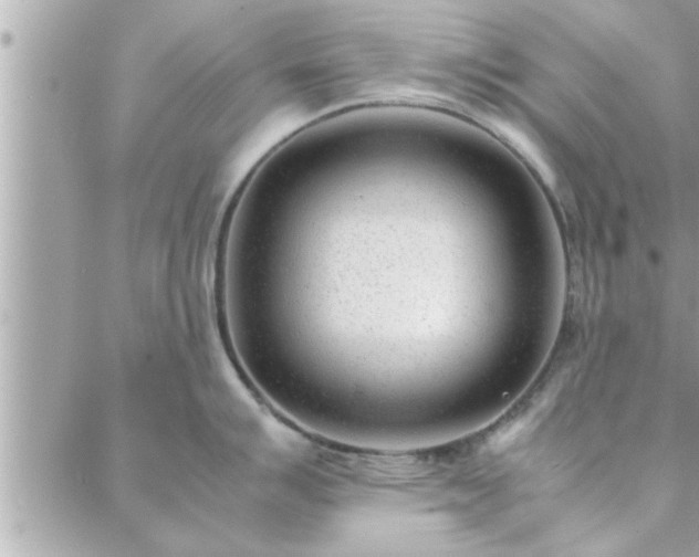 X0000088581007200706011108