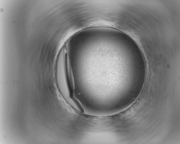 X0000088581008200706011108