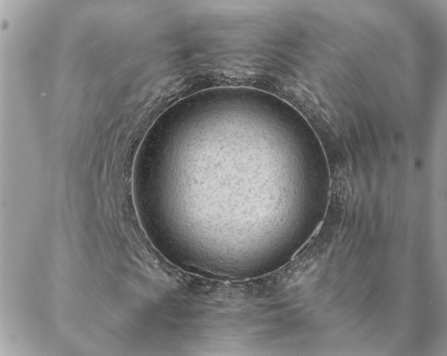 X0000088581009200706011107