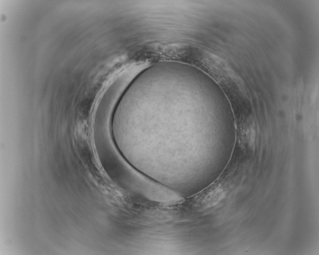 X0000088581010200706011107