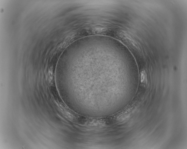 X0000088581011200706011107