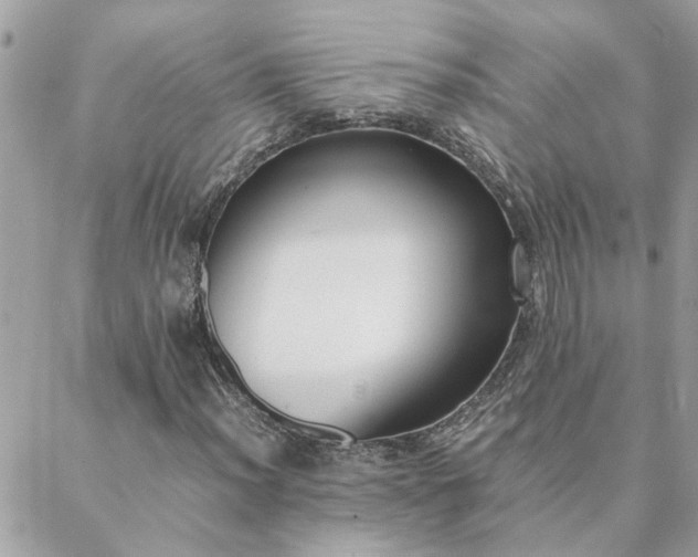 X0000088581012200706011107