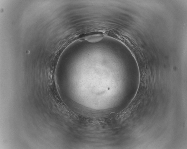 X0000088581013200706011107