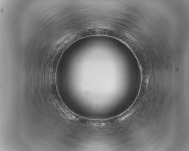 X0000088581014200706011107