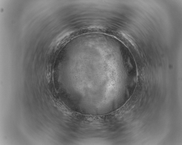 X0000088581015200706011107