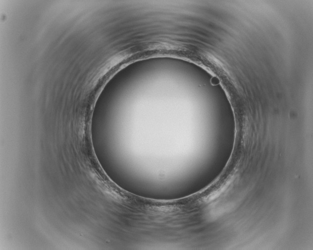 X0000088581017200706011107