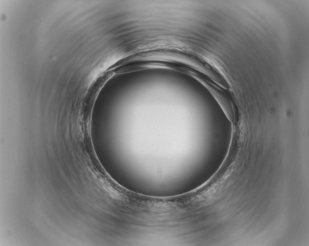 X0000088581018200706011107