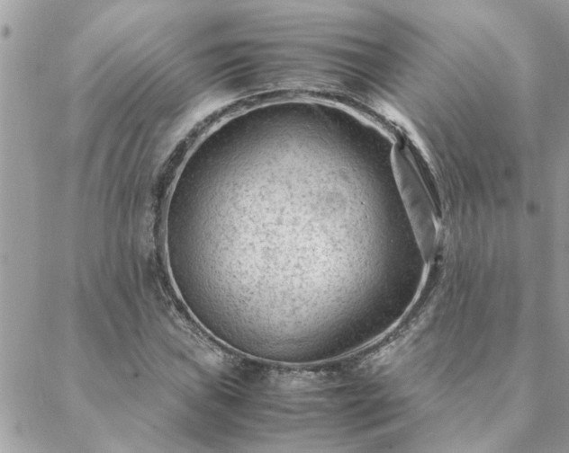 X0000088581019200706011107