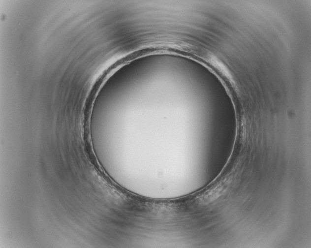 X0000088581020200706011107