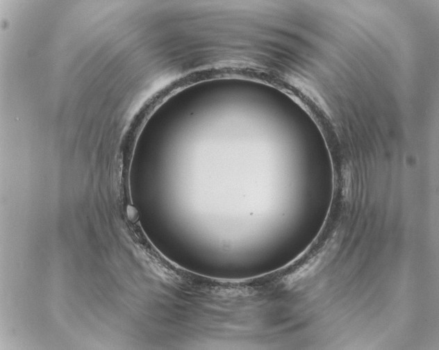 X0000088581021200706011107