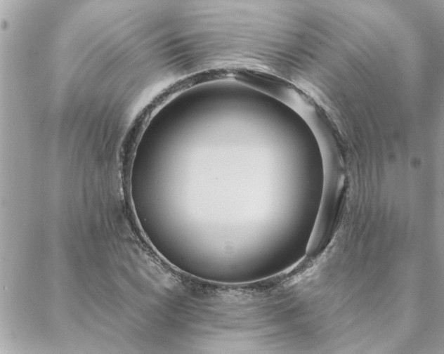 X0000088581022200706011107